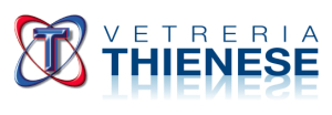 VETRERIA THIENESE Logo